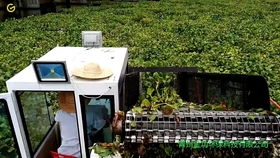 水面清道夫 全自动垃圾打捞船在景区水域的革新应用